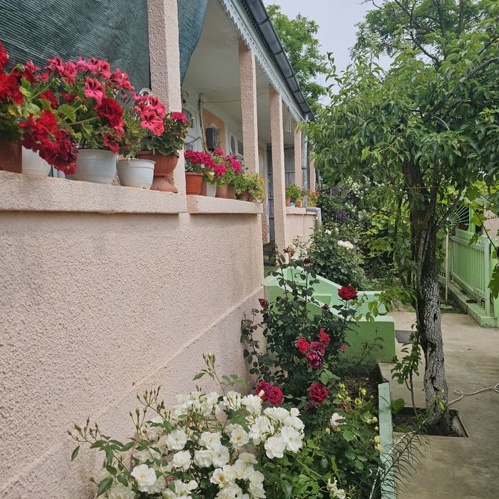De vânzare casă independentă cu teren + vie si solar