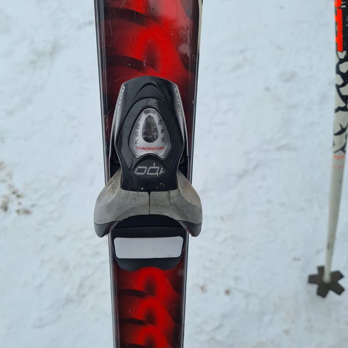 Горнолыжные горные лыжи