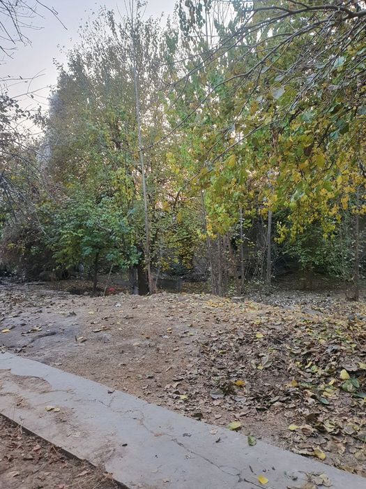 Yer Sotiladi, Nazarbek