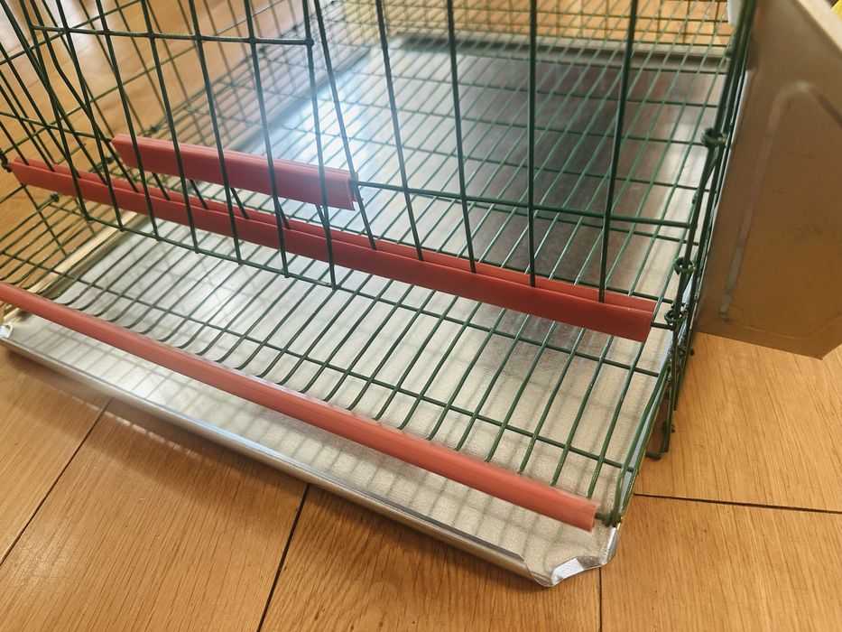 Cusca prepelite noua