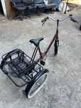 Bicicleta cu trei roti