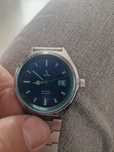 ceas barbatesc citizen
