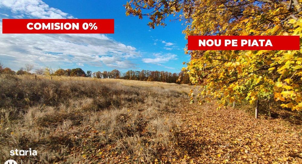 Terenuri intrevilane Comuna Mosoaia