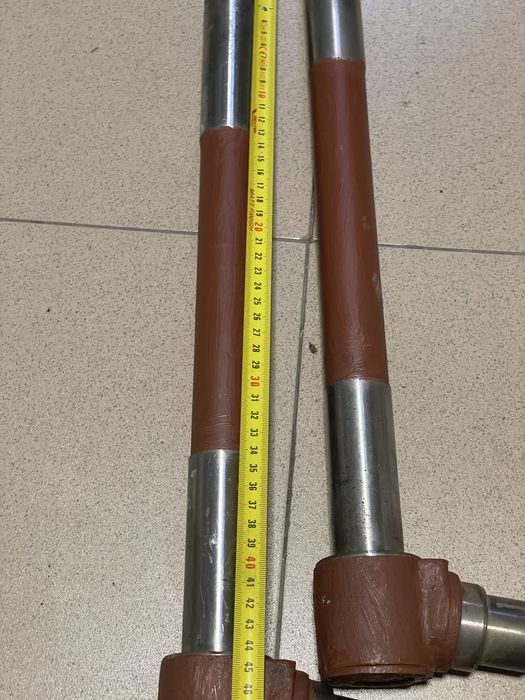 Fuzeta legumicol l 445