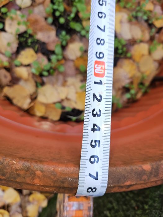 Голяма саксия за градината