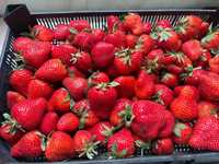 Продавам български ягоди