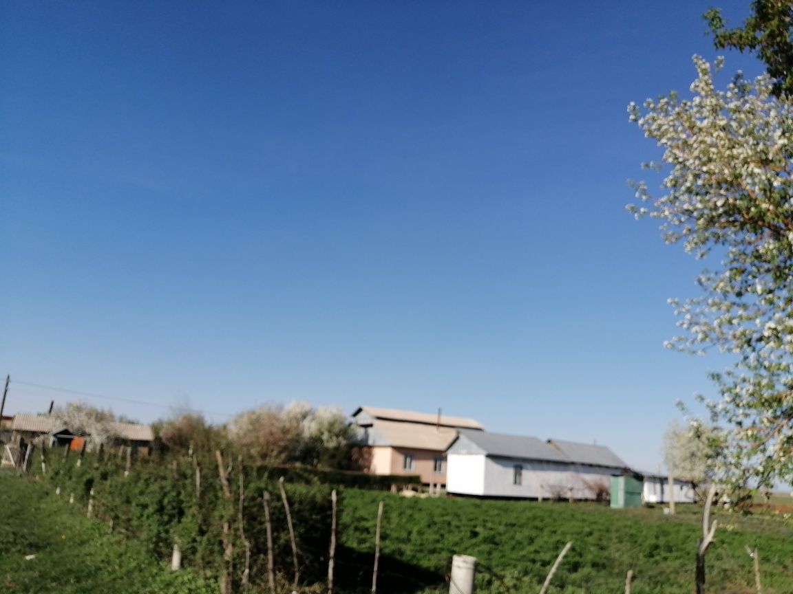 Продажа дом в Маканчи