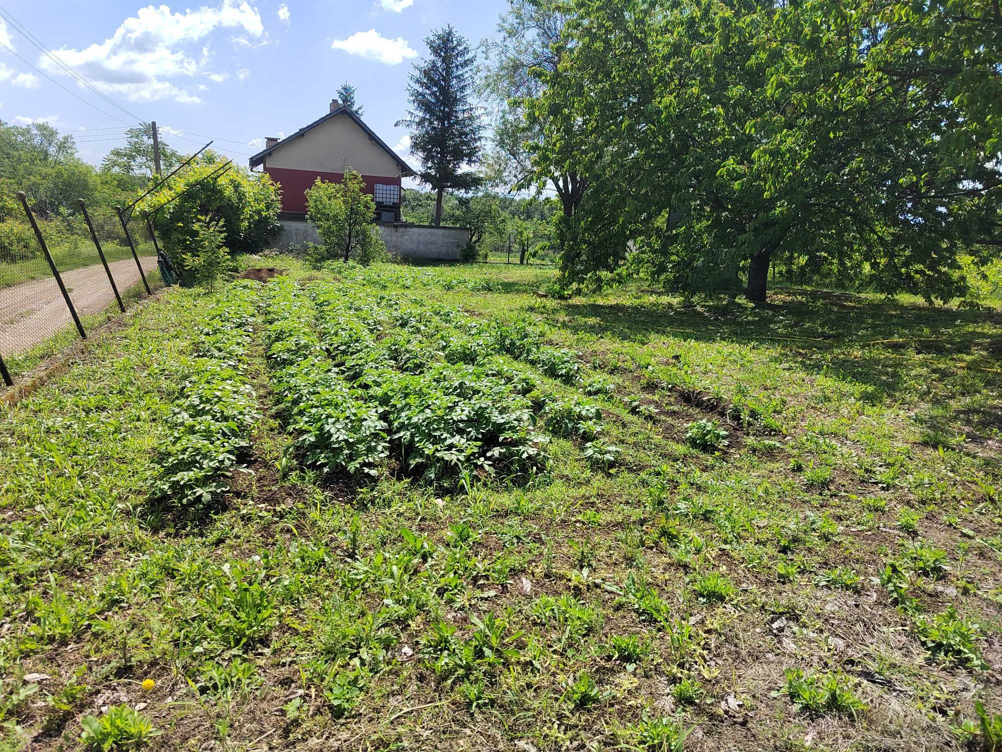 Парцел в местността Парта