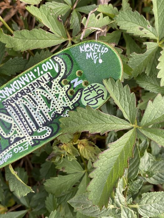 Placa de fingerboard