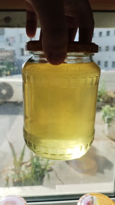 Miere de Albine Tei 2024