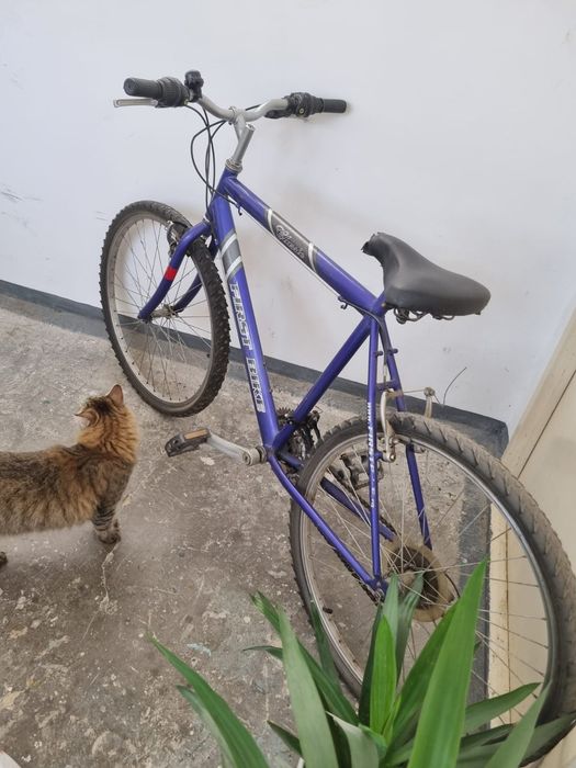 Bicicleta First Bike