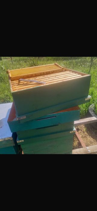 vand etaje 1/2 rame cladite in el