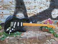 Chitara customizata Roytek Stratocaster, cu doze TexasBlues (copie)