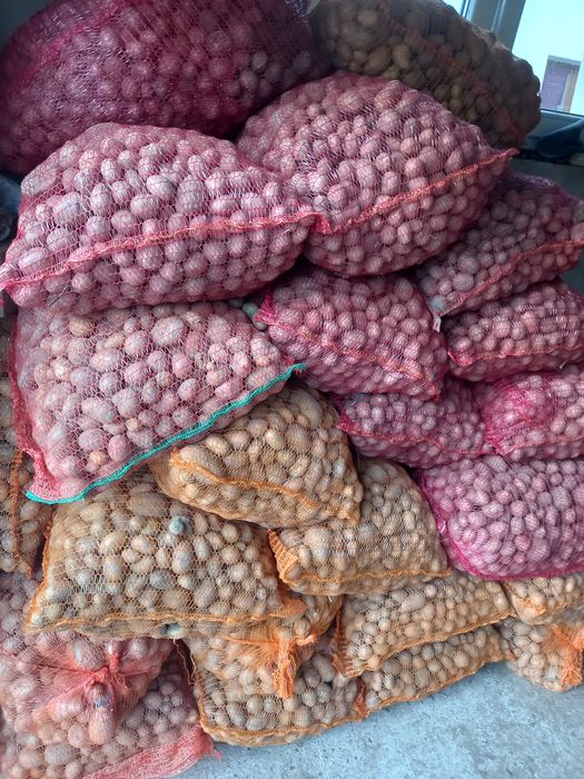 Cartofi pentru animale