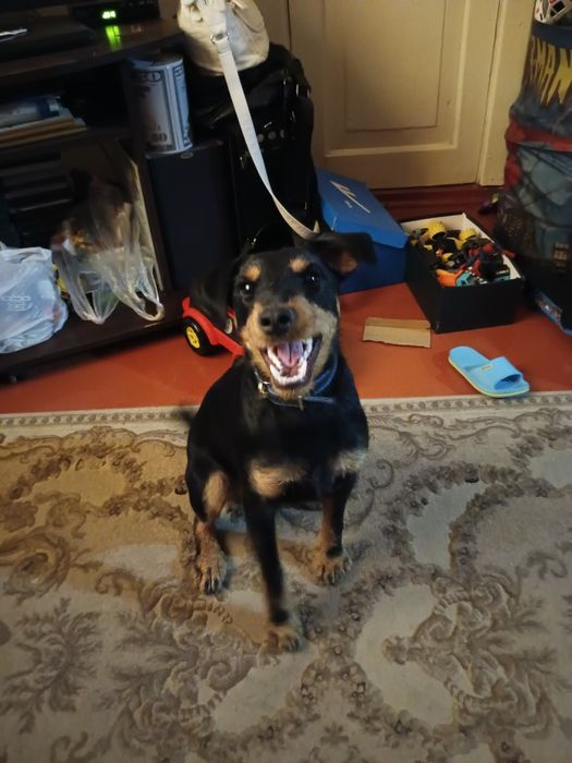 Молодой красавчик,ждёт свою девочку