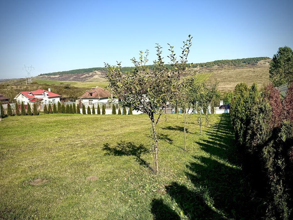 Teren 1000mp (extravilan)