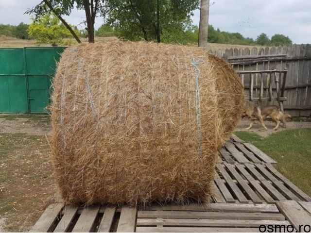 Baloți de fân și paie