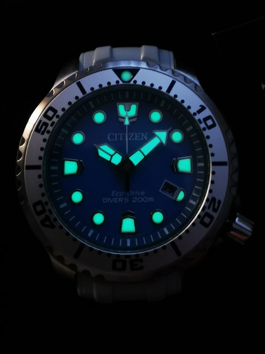 Citizen promaster ice blue BN0165-55l