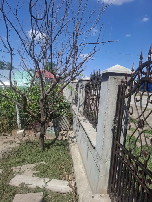 Vand casa comuna Ciocanesti , Judetul Calarasi ,Pret Negociabil 1200mp