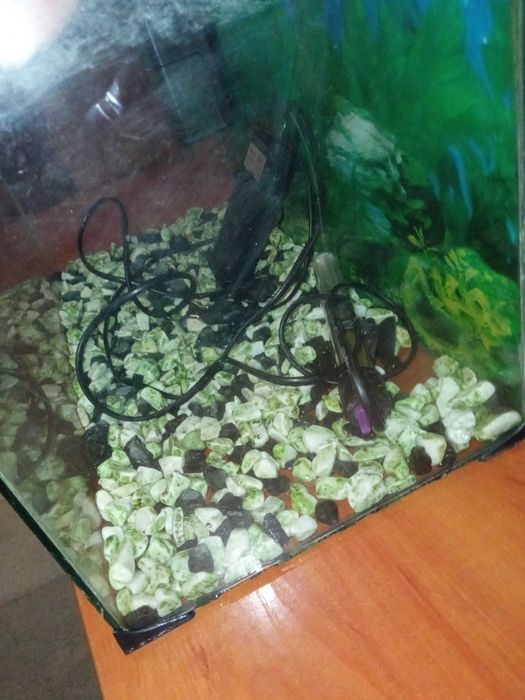 Аквариум 50 литра - оборудван