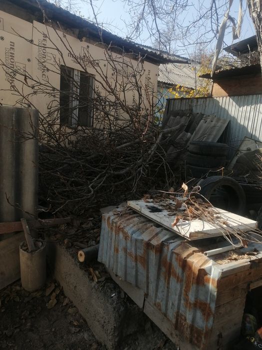 Отдам сухие ветки ореха.