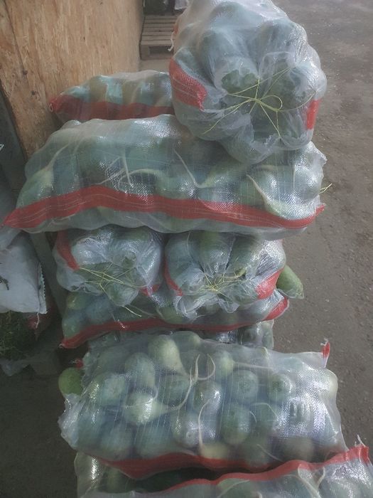 Sabzi Yuvilgan va Yuvilmagan, Turp, Lavlagi arzon narxda