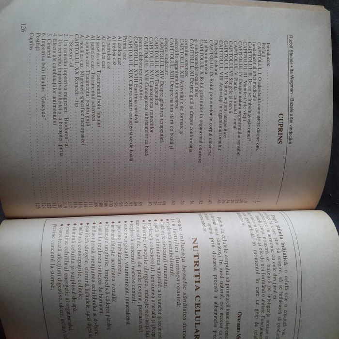 RARA, Arta vindecarii. Fundamente, Rudolf Steiner, Ita Wegman 1996