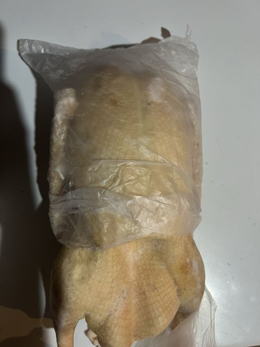 Мясо домашних гусей