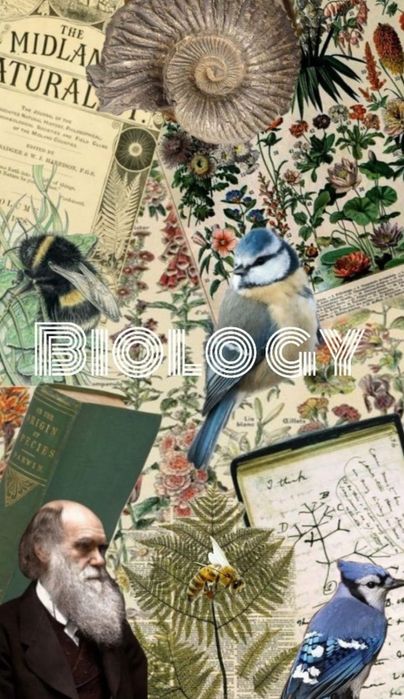 Репетитор по биологии для 5-7 класса