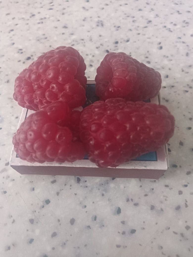Смородина , вишня , малина