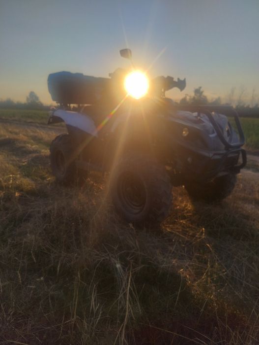 Linhai 300cc 4x2 Dragon Fly