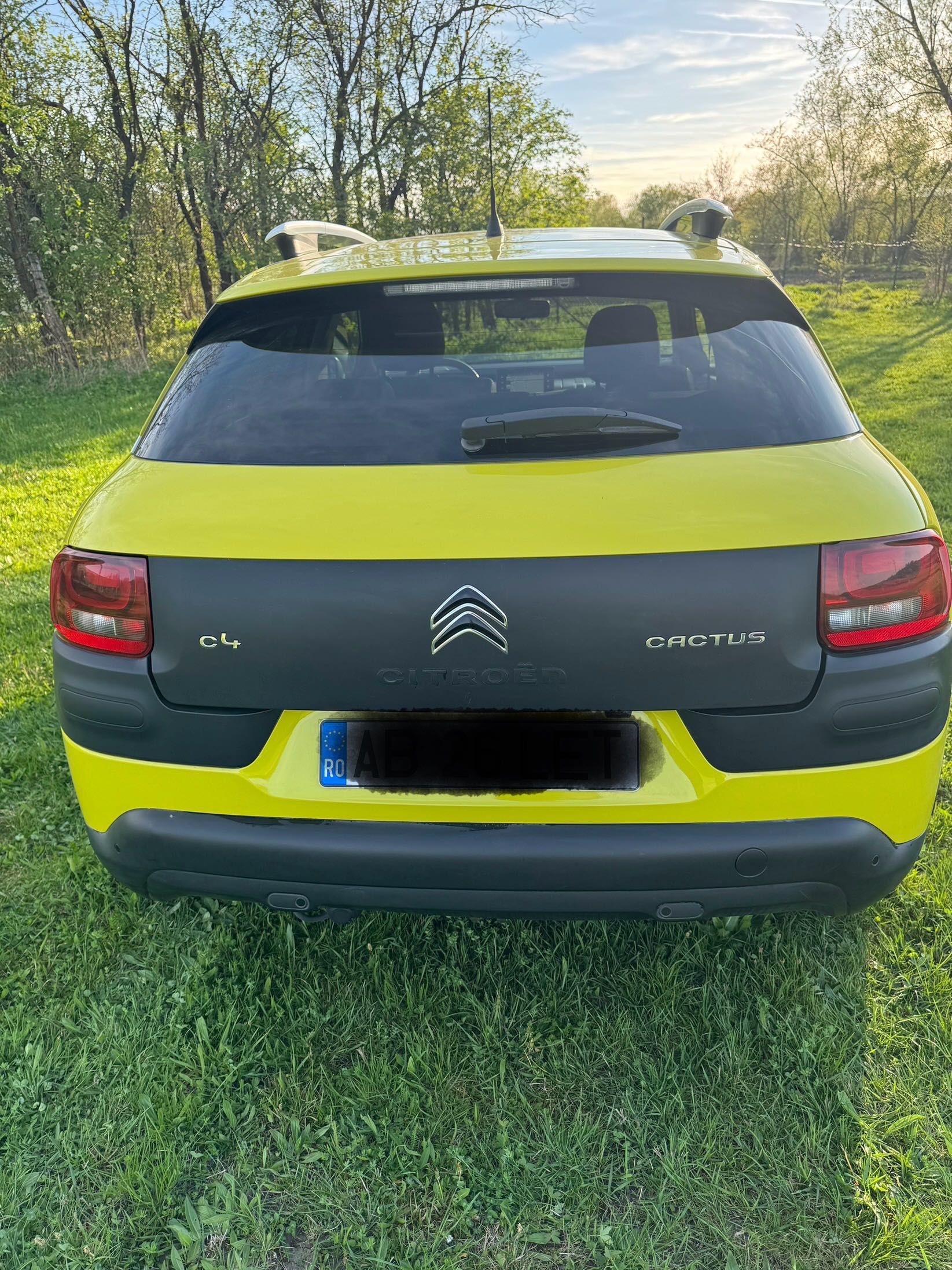 Citroen C 4 Cactus