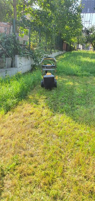 Tocare, tocat crengi, tăieri, toaletare pomi, copaci, defrişare teren