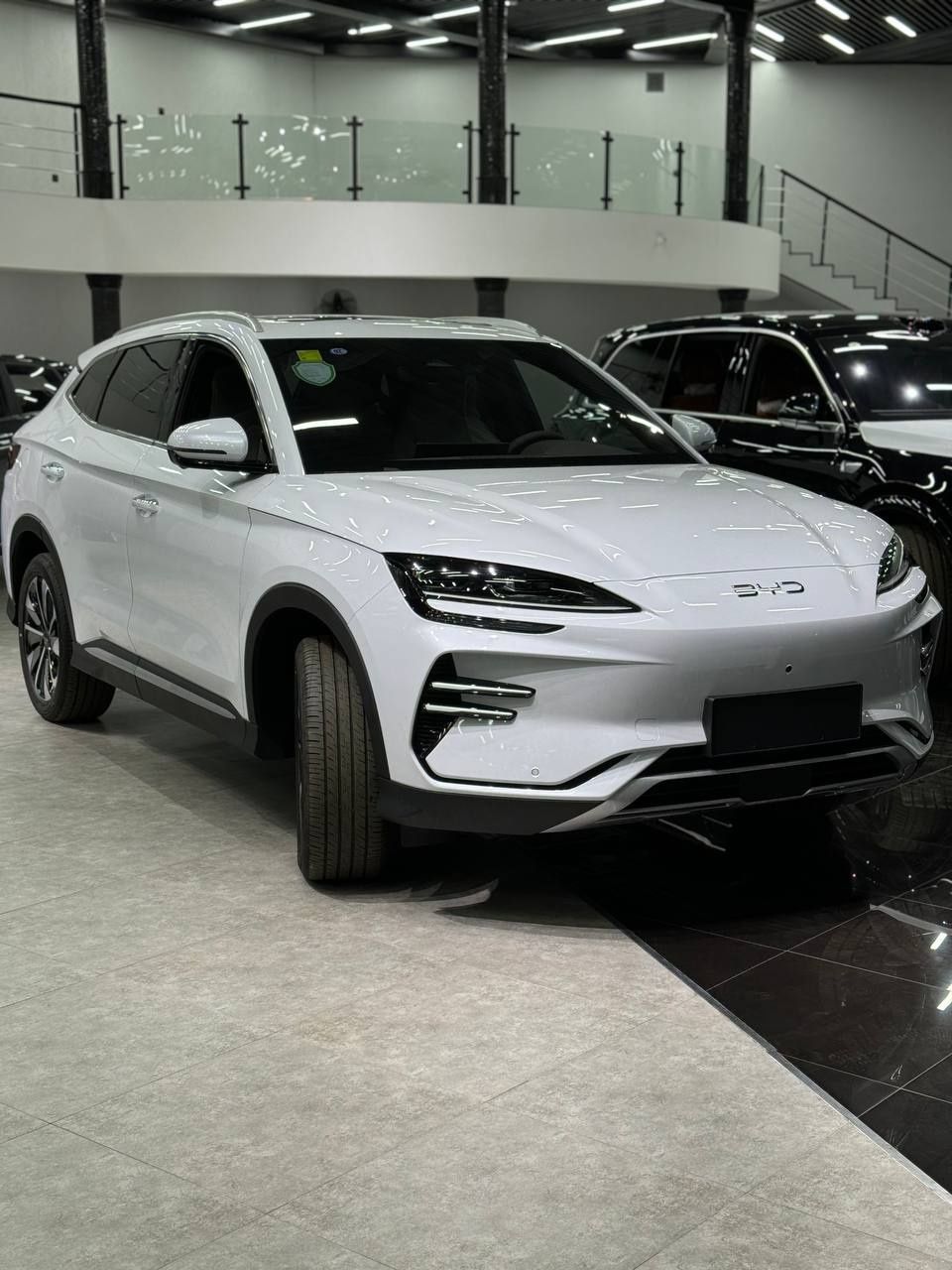 BYD chempion Honor 24/25 natarusga tayyor