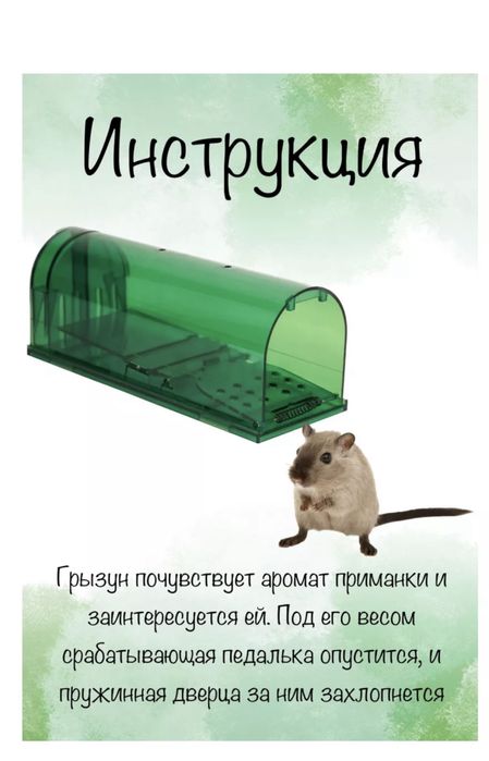Мышеловка Гуманная
