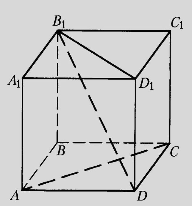 Репетитор физики и математики