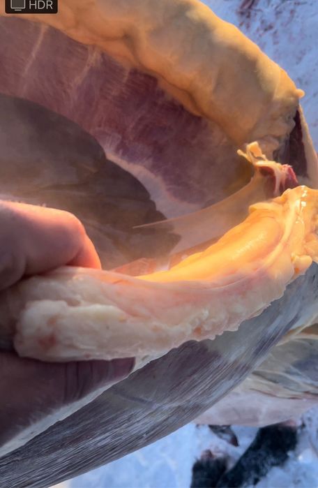 Продам мяса конина тай жабағы цена за кг 2800 тг доставка бесплатно