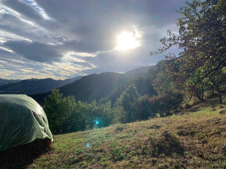 Vand teren zona Nehoiu , Basca Rozaliei , Vinetisu