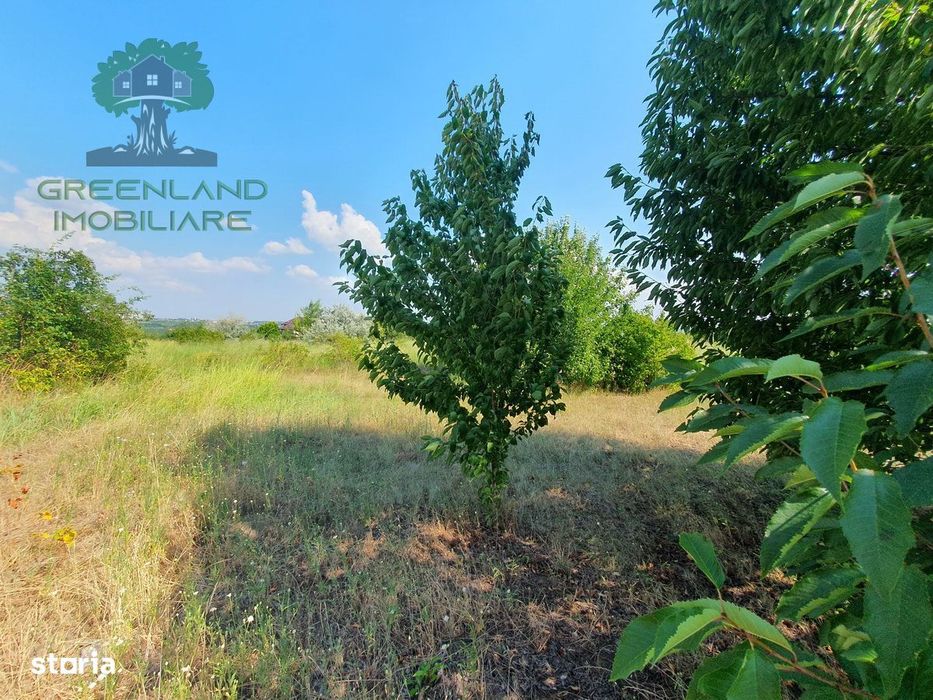 TEREN intravilan plat 617mp, PLATOUL BELDIMAN