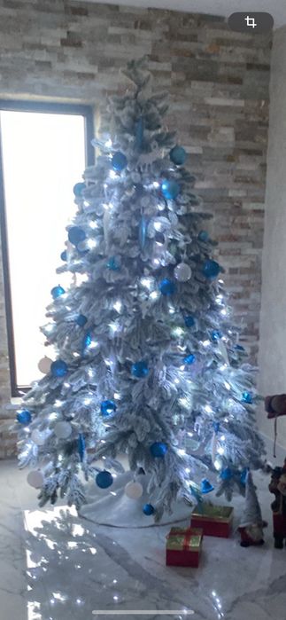 Brăduț nins folosit doar 1 an