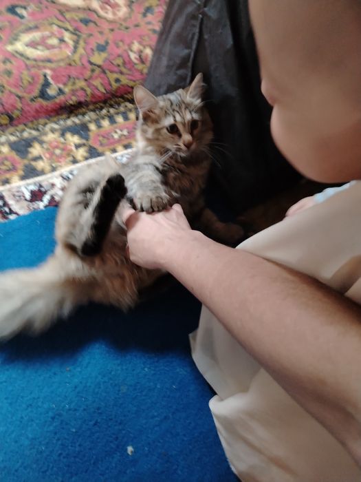 Катенька мейн_кин