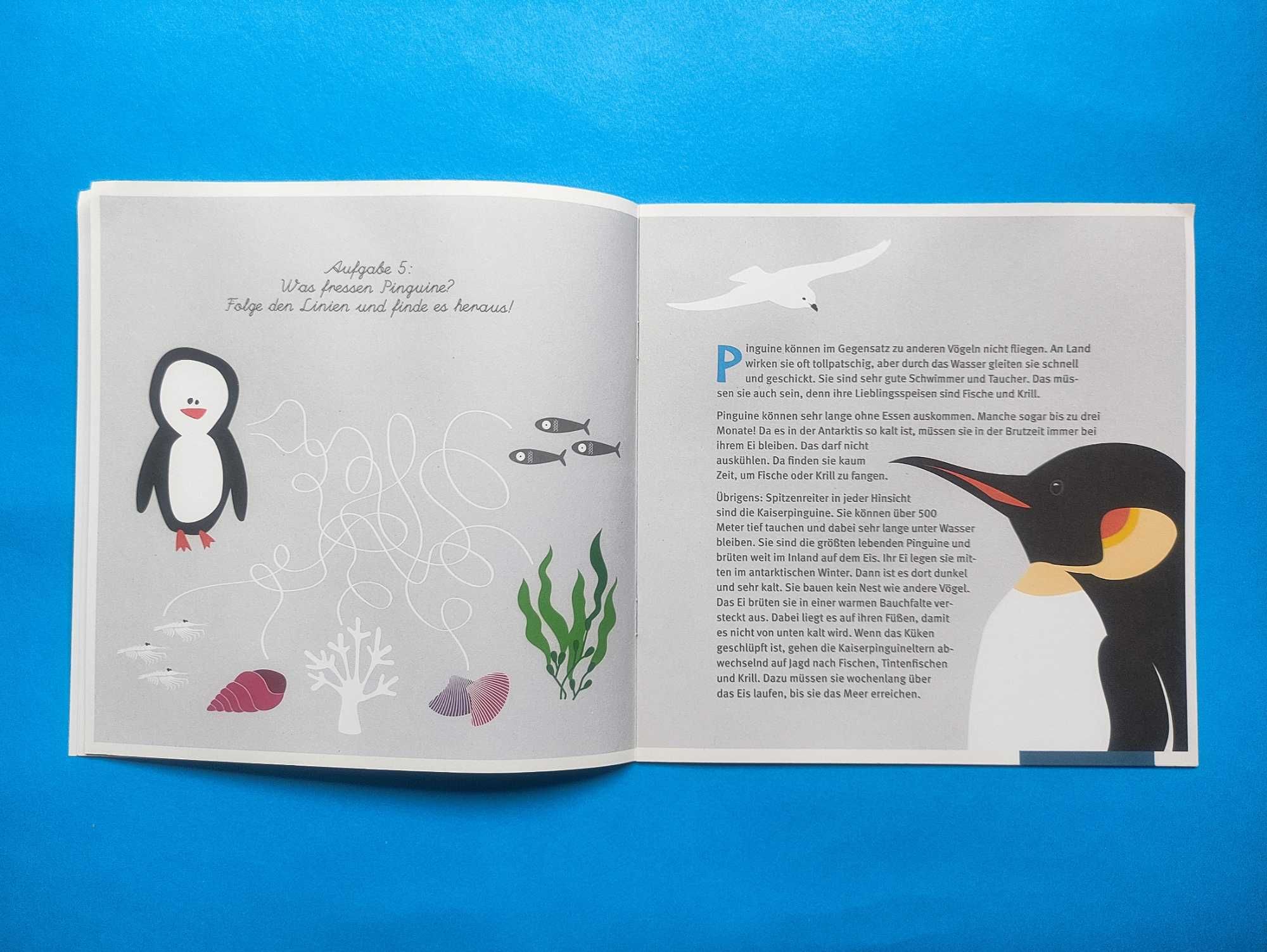 Игровая Мини-книжка об Антарктике для Детей на Немецком Языке
