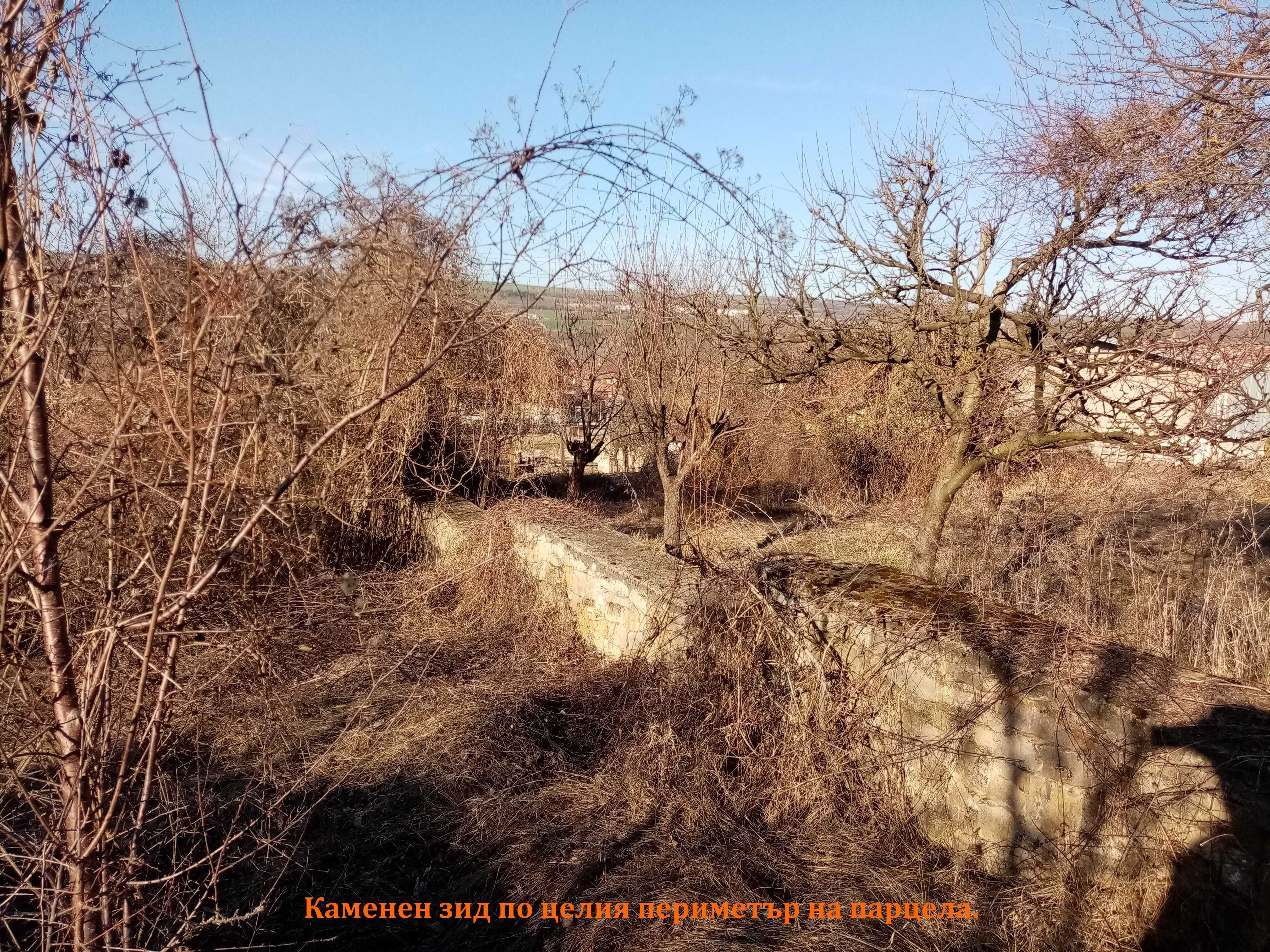 Първокласен парцел в с. Шемшево директно от собственик.