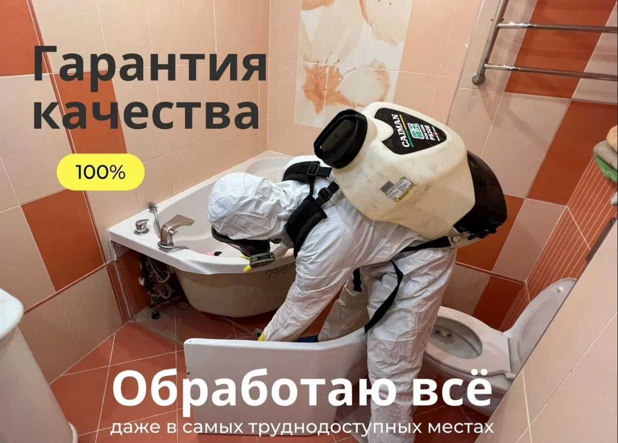Dezinfeksiya klop tarakan klapa термит Дезинфекция СКИДКИ до 40%