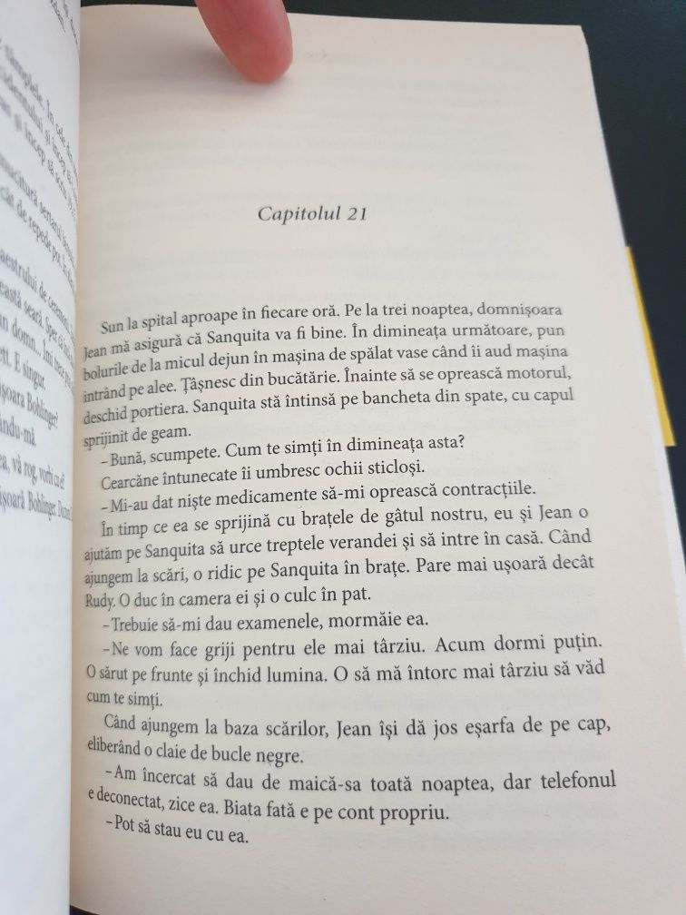 Maine e o noua zi - Lori Nelson Spielman