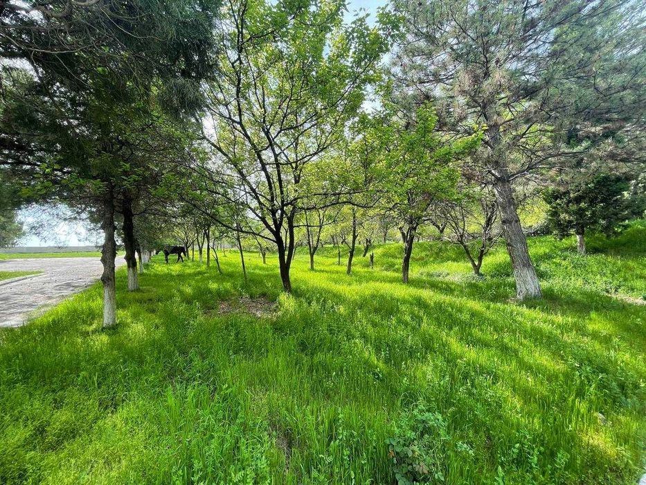 Продается готовый бизнес