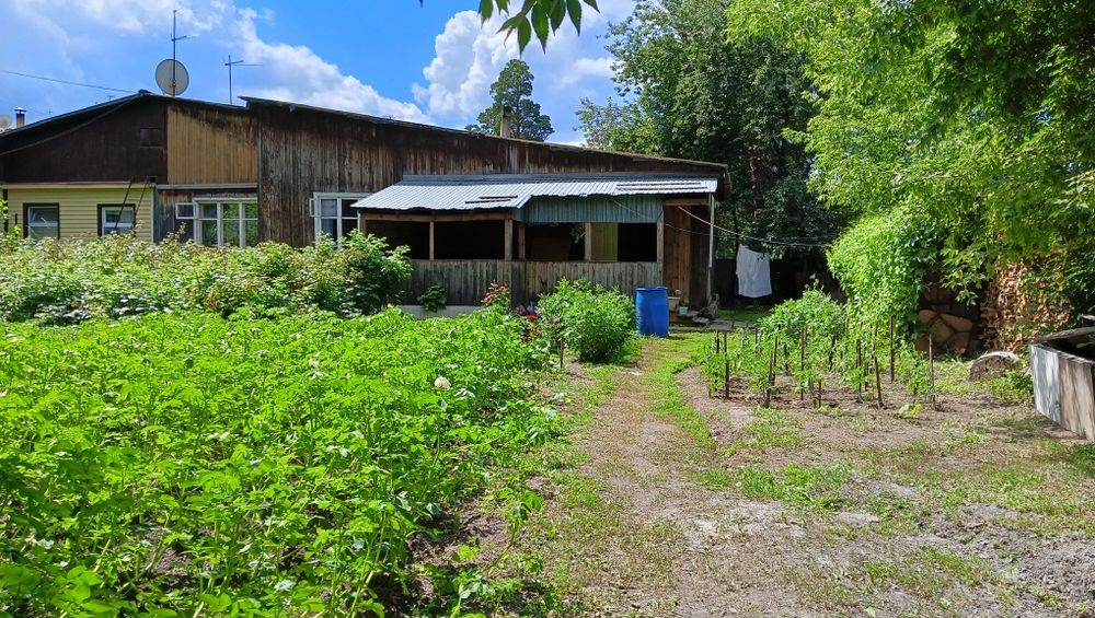 Продам дом в лесу ул. Спортивная д.2 г. Макинск