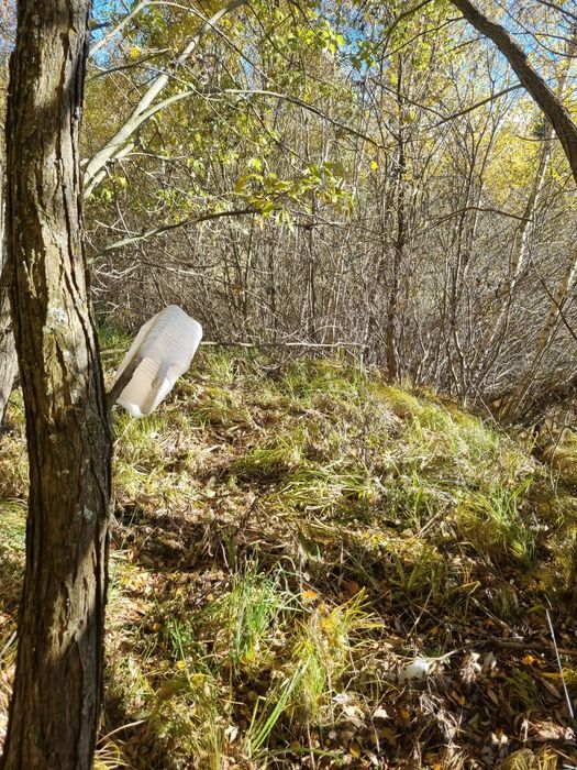 De vânzare teren  in Râșca