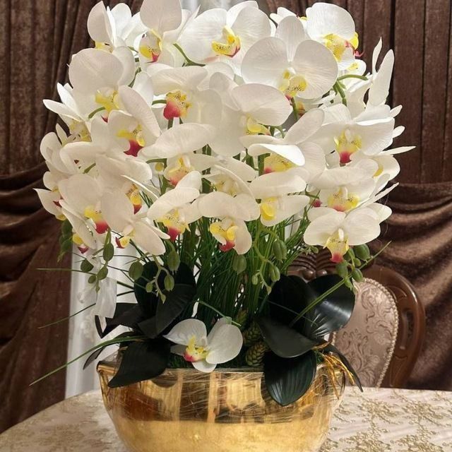 Dekorativniy suniy gullar, декоративный цветы