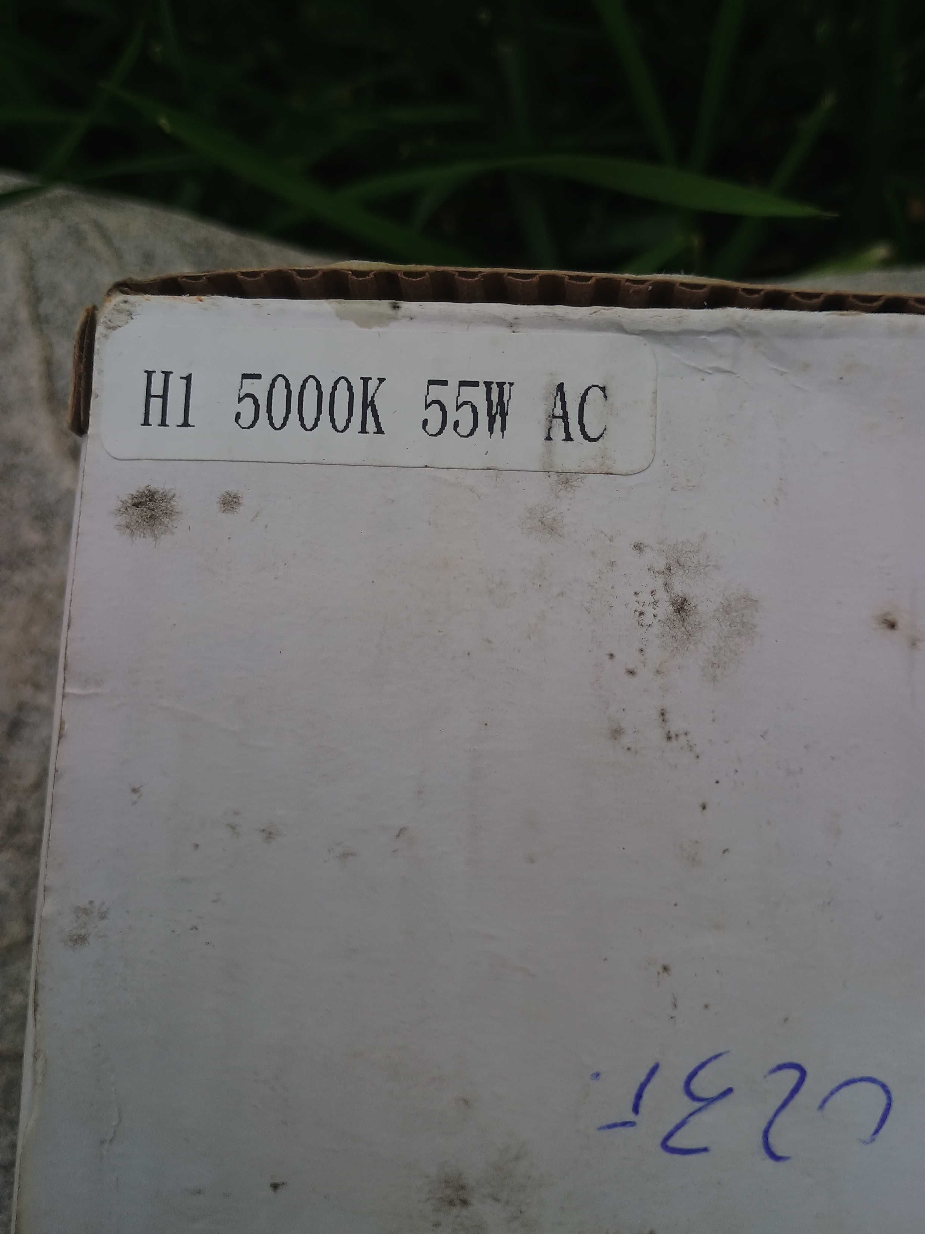Крушка за ксенон H1 50000K 55W